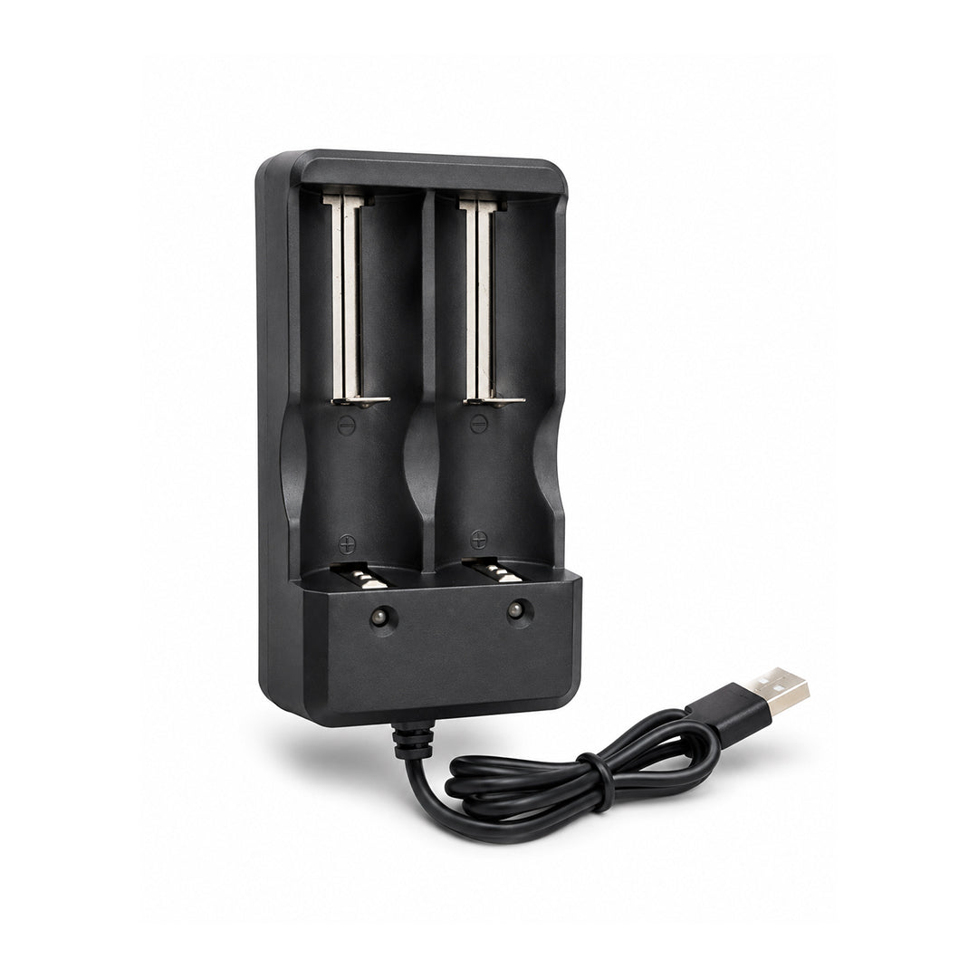 Ladegerät für Batterien